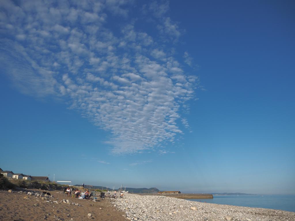 Dorset House Bed & Breakfast Lyme Regis Ngoại thất bức ảnh