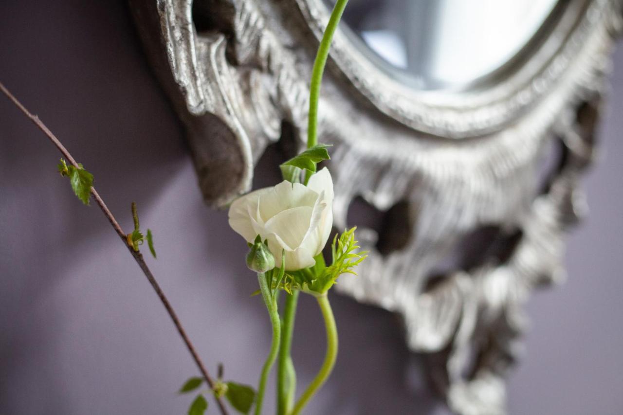 Dorset House Bed & Breakfast Lyme Regis Ngoại thất bức ảnh